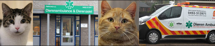 Castratie- en Chip actie