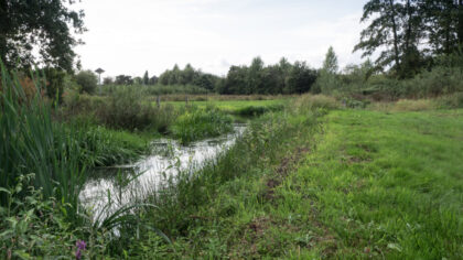 Seniorenwandeling 27 augustus in de Bundertjes