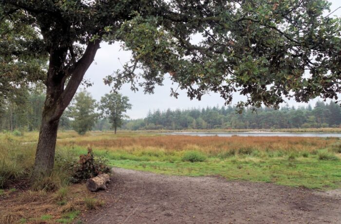 Heb je zin om met een groep natuurgeïnteresseerden op pad te gaan? Dat kan.