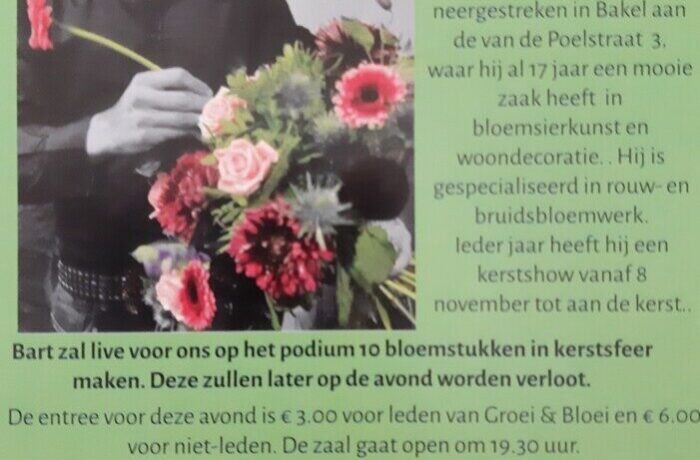 Demonstratie kerstbloemschikken Groei & Bloei afd Helmond e.o.