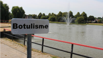 Botulisme in vijver in Brouwhuis