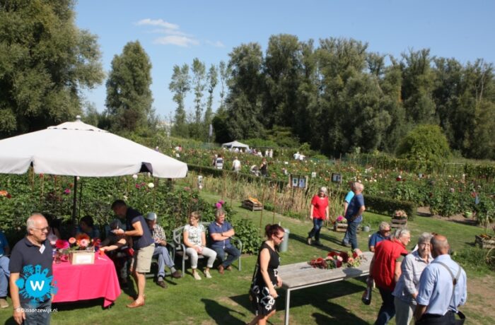 Gezelligheid en prachtige bloemen zorgen voor veel inspiratie in Dahliatuin