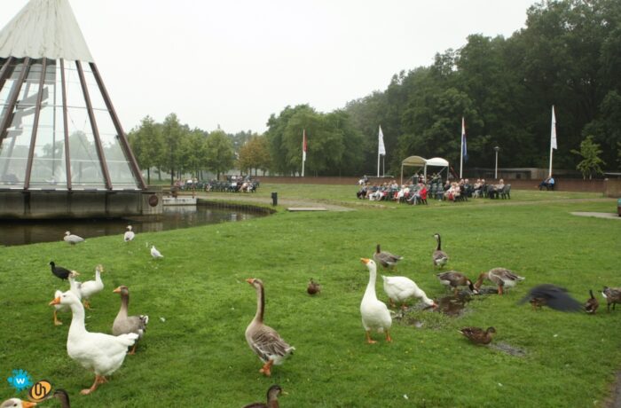 Carat concert op regenachtige zondag