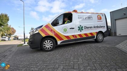 Mooie samenwerking tussen Stadsleerbedrijf en Dierenambulance