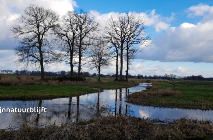 Actie #Mijnnatuurblijft op 8 december