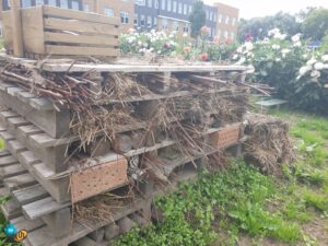 DIOW HR 20190908_110441 Buurttuin Brandevoort
