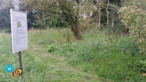 DIOW JS 20190818_160147