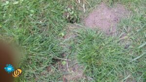 DIOW JS 20190818_160200