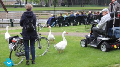 Caratconcerten: zelfs de dieren genieten er van