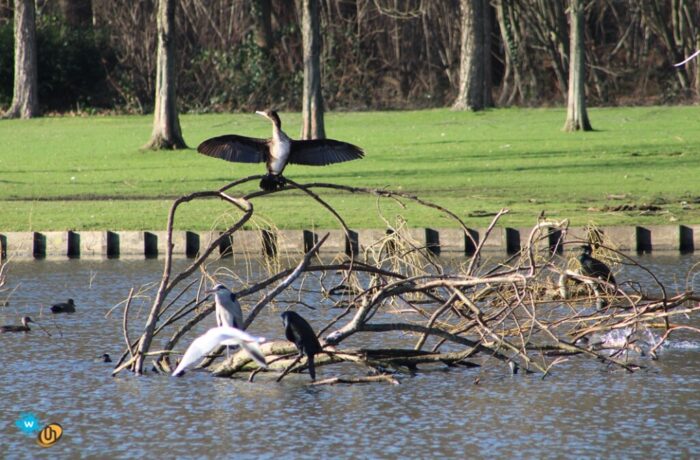 warandepark