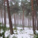Publiekswandeling de Bikkels|