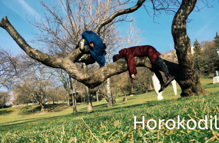 Zaterdag 26 oktober: Horokodile met Flip-Flop, een Poëtische dansvoorstelling