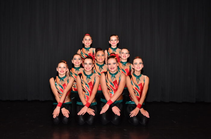 JIBB+ Workshops Garde & Showdans