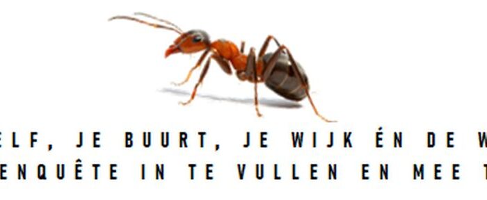 Oproep BC De Rijpel Enquête