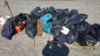 Een dag schoonmaken op een vogeleiland