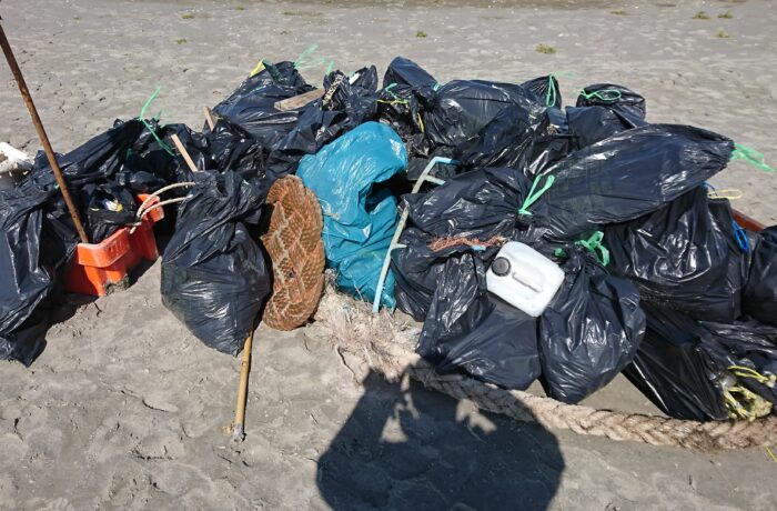 Een dag schoonmaken op een vogeleiland
