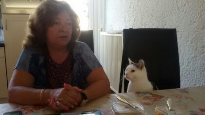 Leegloop in dierenasiel Helmond