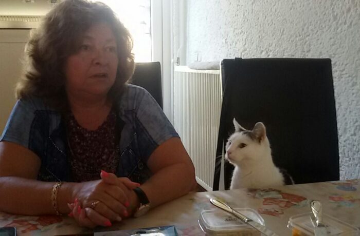 Leegloop in dierenasiel Helmond