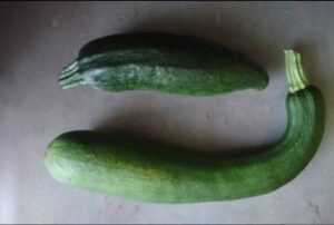 kromme courgette