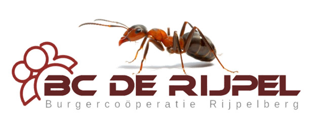 Burgercoöperatie De Rijpel : de tussenstand!
