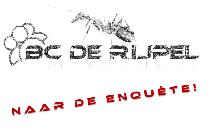 Link naar de BCR Enquête
