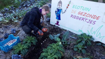 Mooie entree voor Ecotuin ‘De gezonde riddertjes’