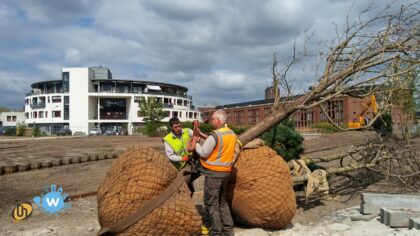Lijst van kap en herplant in Helmond