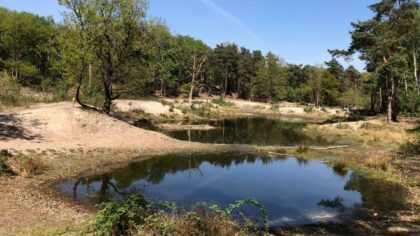 Water Natuurlijk Aa en Maas luidt noodklok