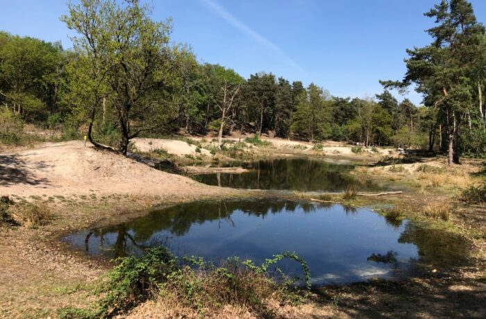 Water Natuurlijk Aa en Maas luidt noodklok