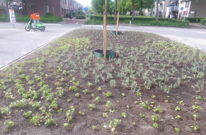 Winkelcentrum Brouwhorst opgeknapt met begroeiing