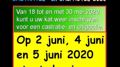 Nieuwe Castratie- en Chipactie voor katten