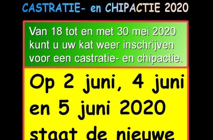 Nieuwe Castratie- en Chipactie voor katten