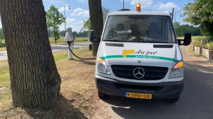 Helmond: meld nesten eikenprocessierups bij gemeente