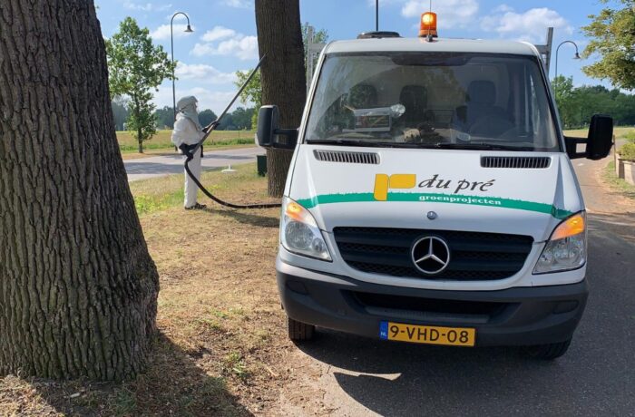 Helmond: meld nesten eikenprocessierups bij gemeente
