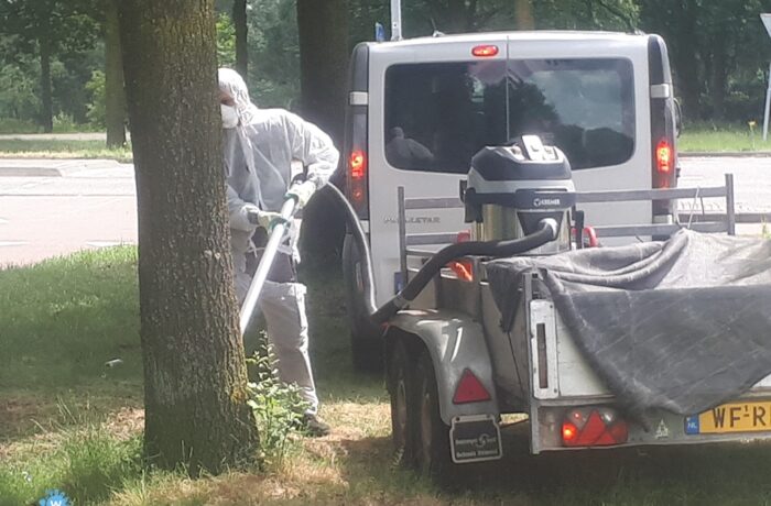 Strijd tegen de processierupsen duurt voort