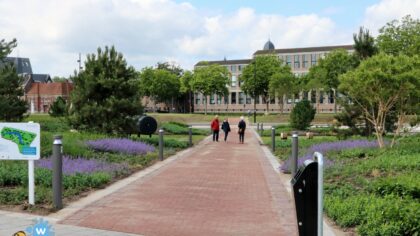 Picknicken in Burgemeester Geukerspark