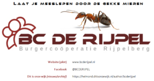 Laat je meeslepen door de gekke mieren