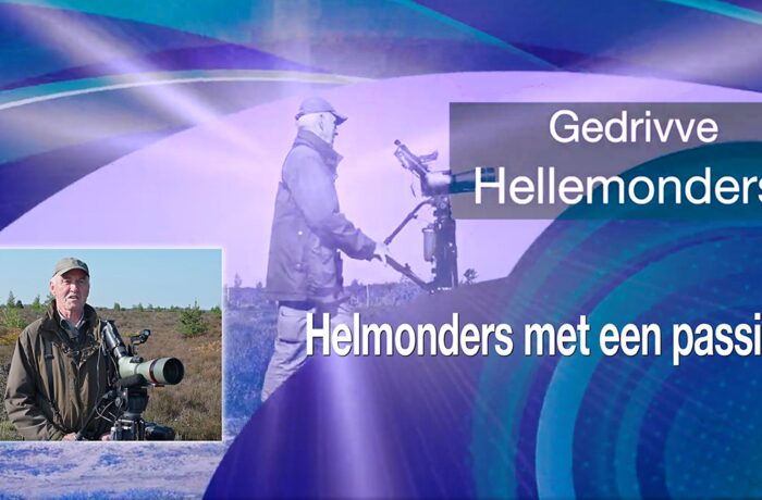 Op zoek naar ‘Gedrivve Hellemonders’