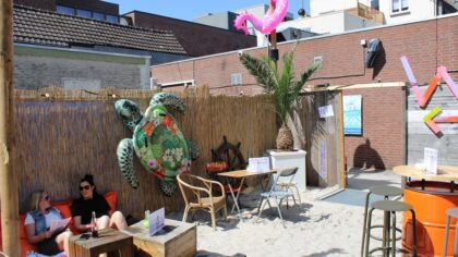 Strand op de Steenweg