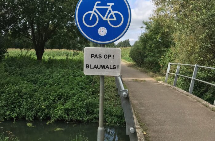 Waterschap waarschuwt voor blauwalg in water
