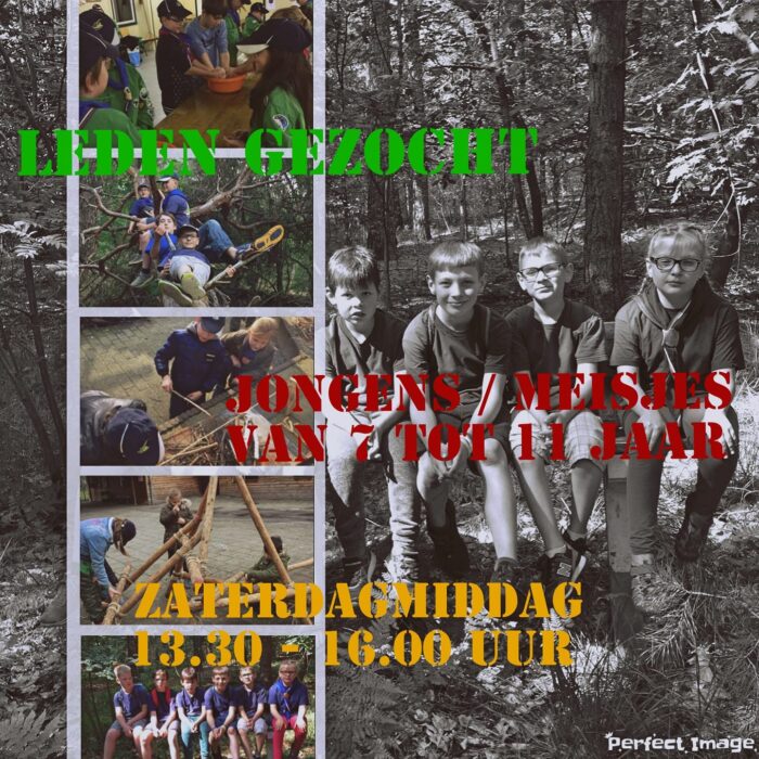 Scouting Rijpelberg is op zoek naar nieuwe leden