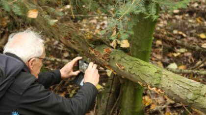 Blote billenzwam en honderden andere paddenstoelen