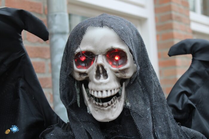 Zoektocht naar Halloween in de wijk