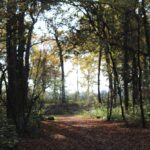 lokroep der natuur