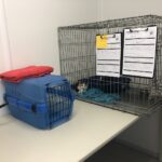 quarantaine unit 2