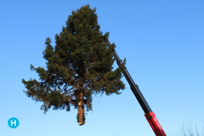 kerstboom OVMH