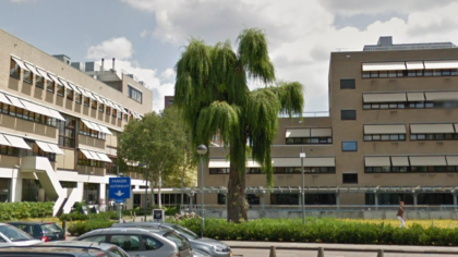 Helder Helmond wil dat treurwilg achter stadskantoor blijft