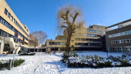 Treurwilg achter stadskantoor wordt toch verplaatst