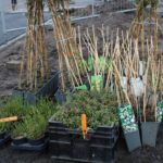Idee voor Tiny Forest; eerst onderzoek locaties woningbouw