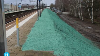 Duurzame methode Prorail voor beplanting taluten